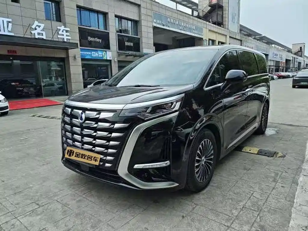 Denza Denza D9