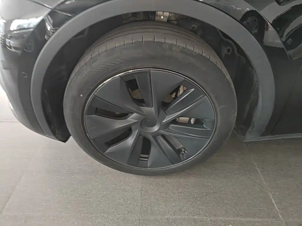 Tesla Model Y — миниатюра 23