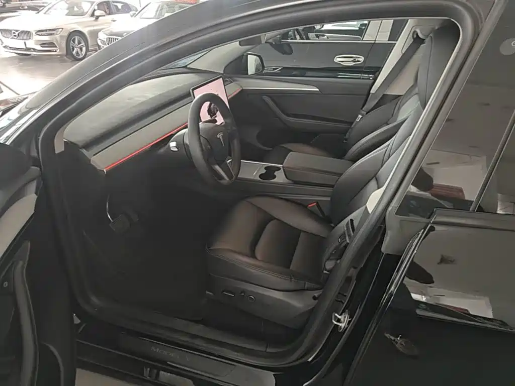 Tesla Model Y — миниатюра 15