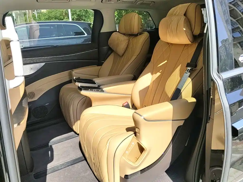 Denza Denza D9 — миниатюра 17