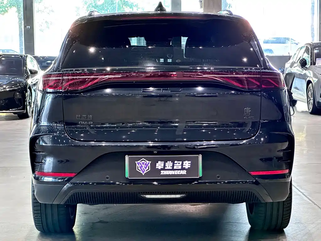 BYD Tang New Energy — миниатюра 4