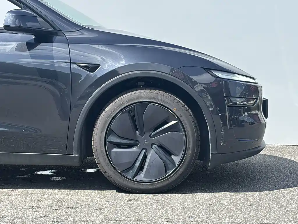 Tesla Model Y — миниатюра 4