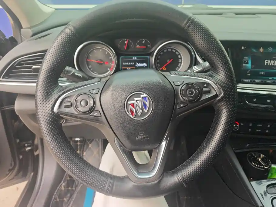 Buick Regal — миниатюра 15