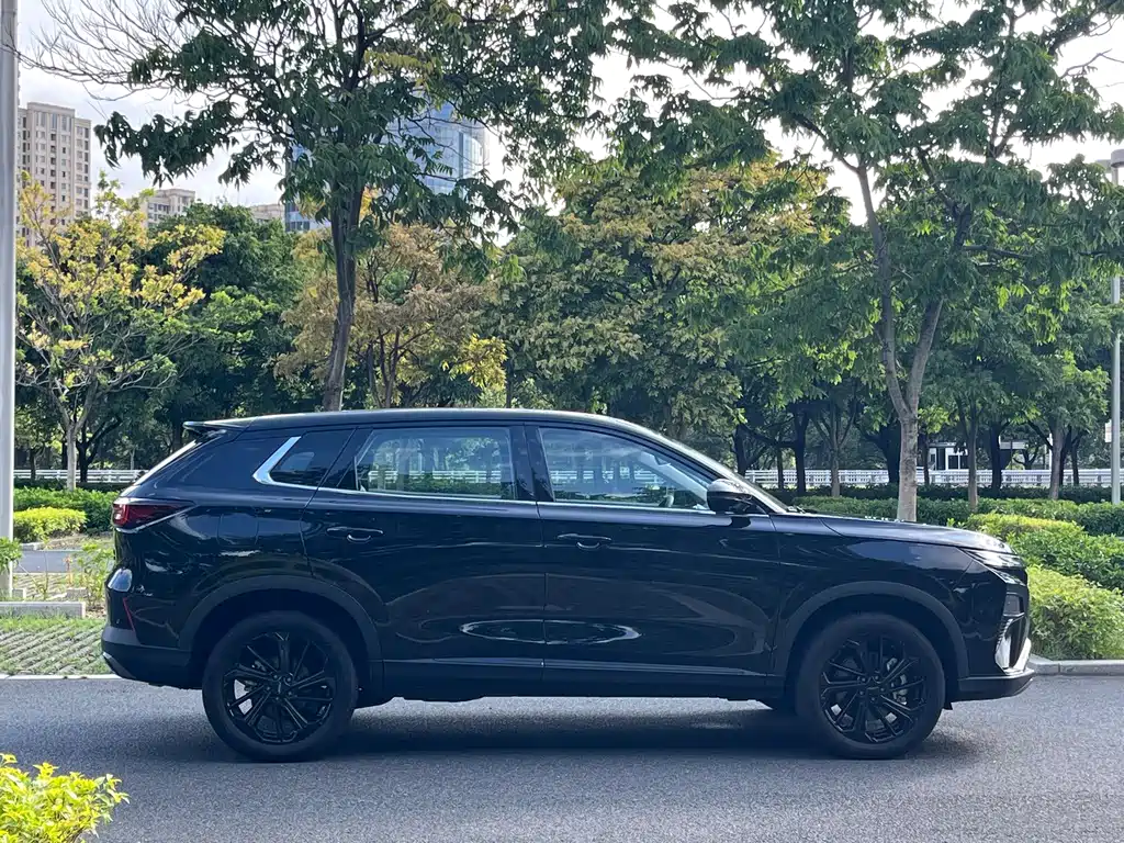 Aeolus Haoyue — миниатюра 11