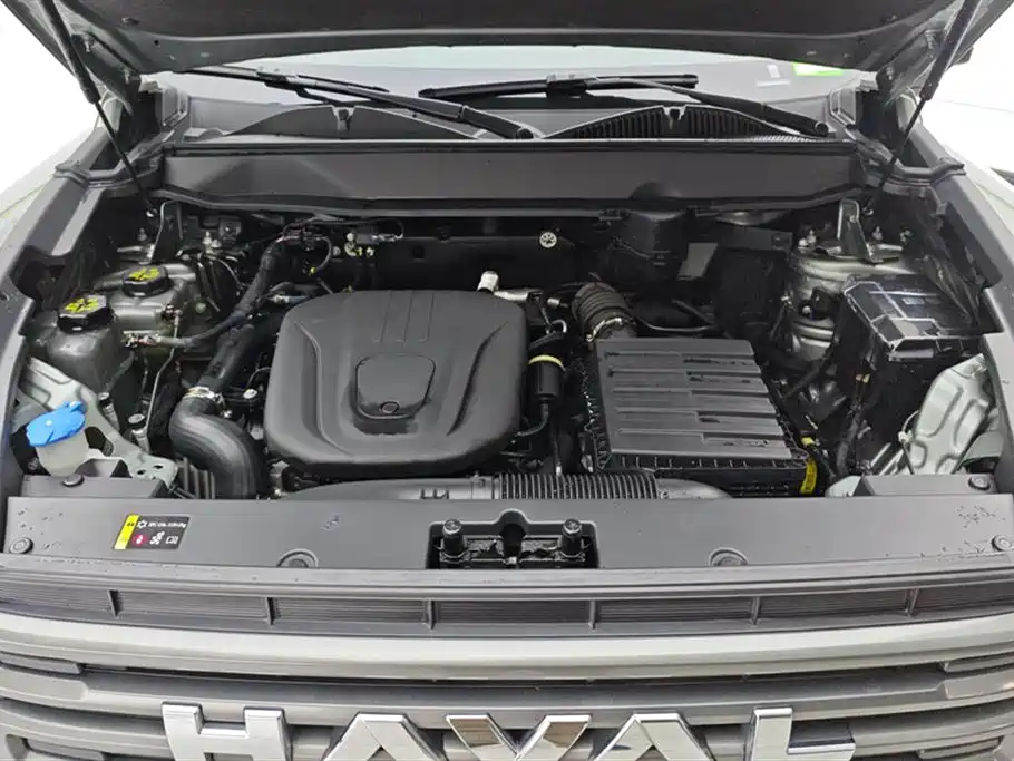 HAVAL RAPTORS NEW ENERGY