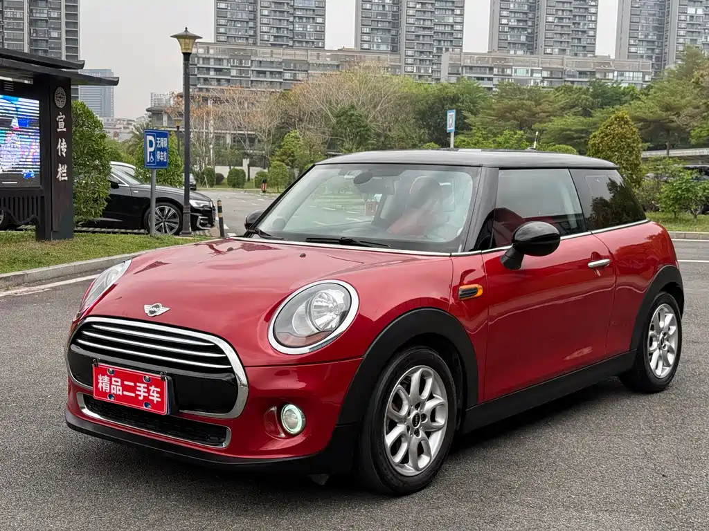 Mini Mini 2014