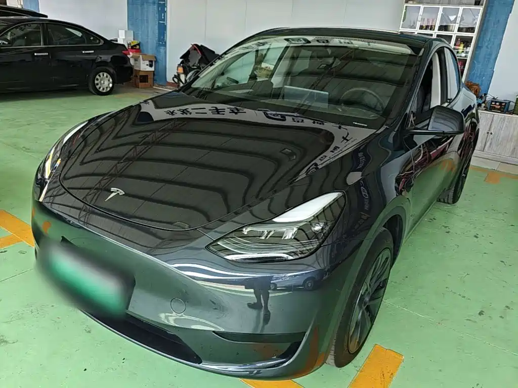 Tesla Model Y — миниатюра 2