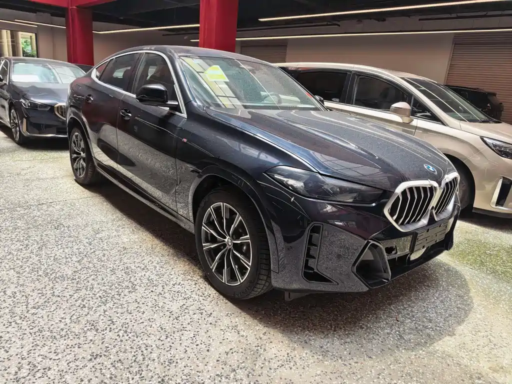 BMW X6 — миниатюра 2