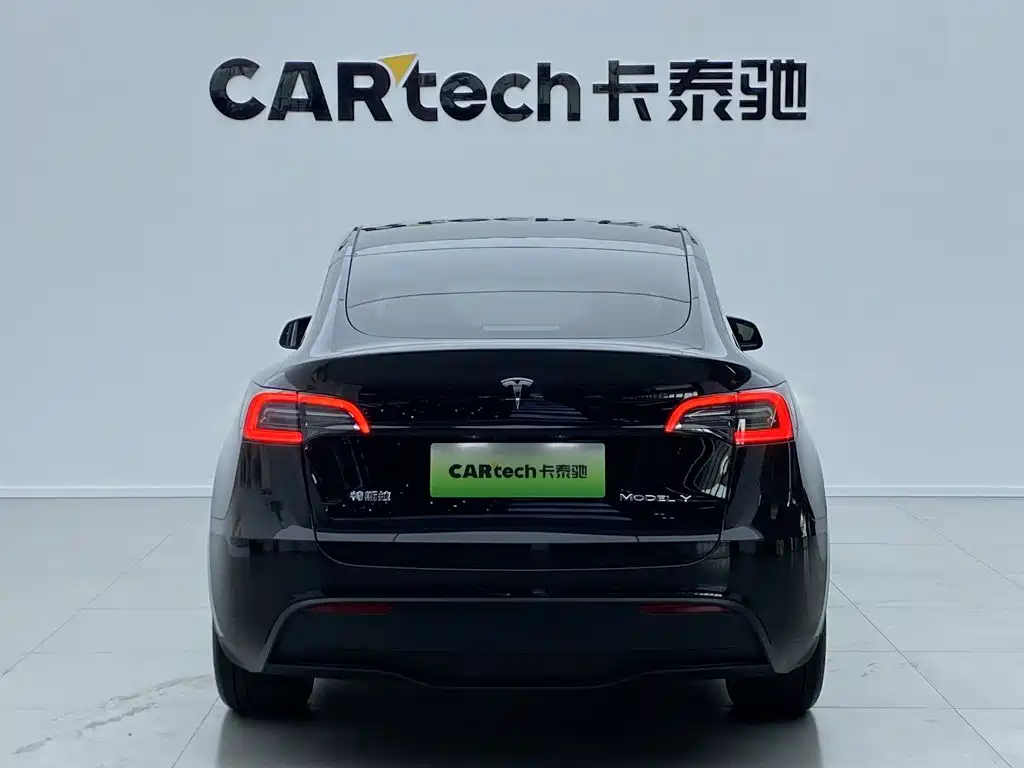Tesla Model Y — миниатюра 5