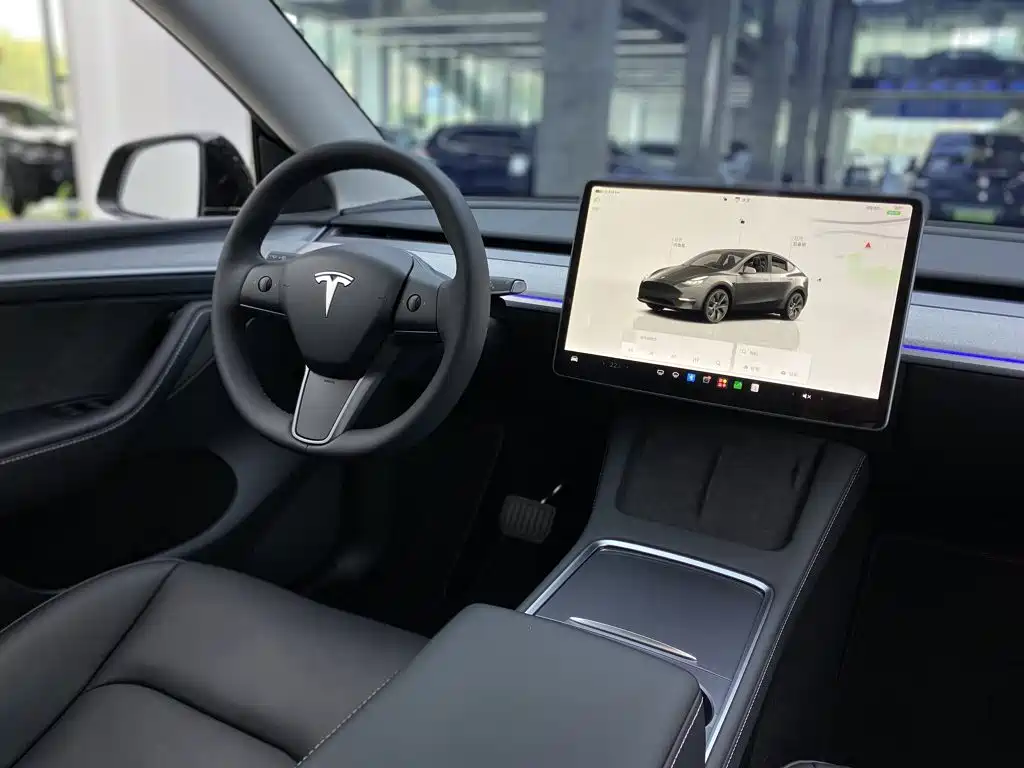 Tesla Model Y — миниатюра 31