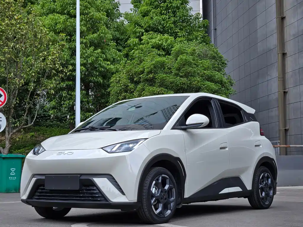 Byd Seagull 2024