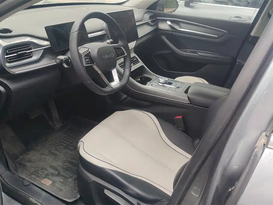 BYD Destroyer 05 2024 DM-i 55KM Luxury