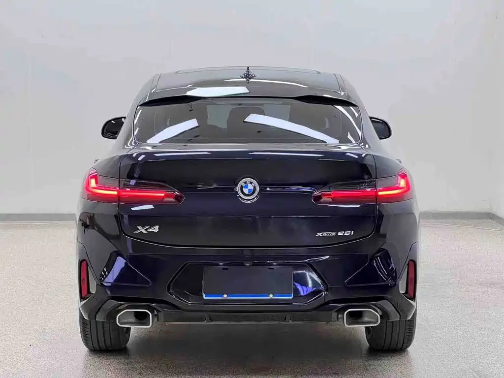 BMW X4 — миниатюра 30