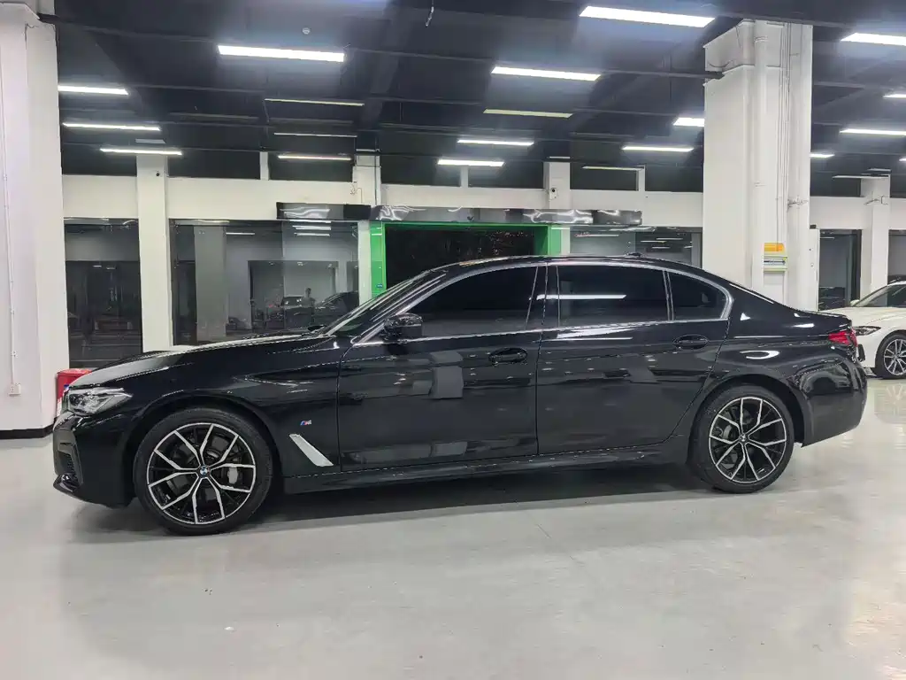 BMW 5 Series — миниатюра 4