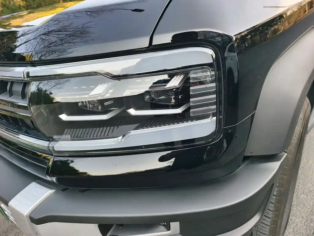 FANG CHENG BAO LEOPARD 5