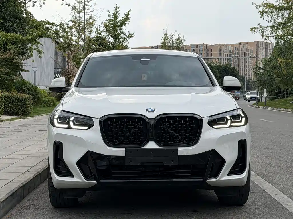 BMW X4 — миниатюра 6