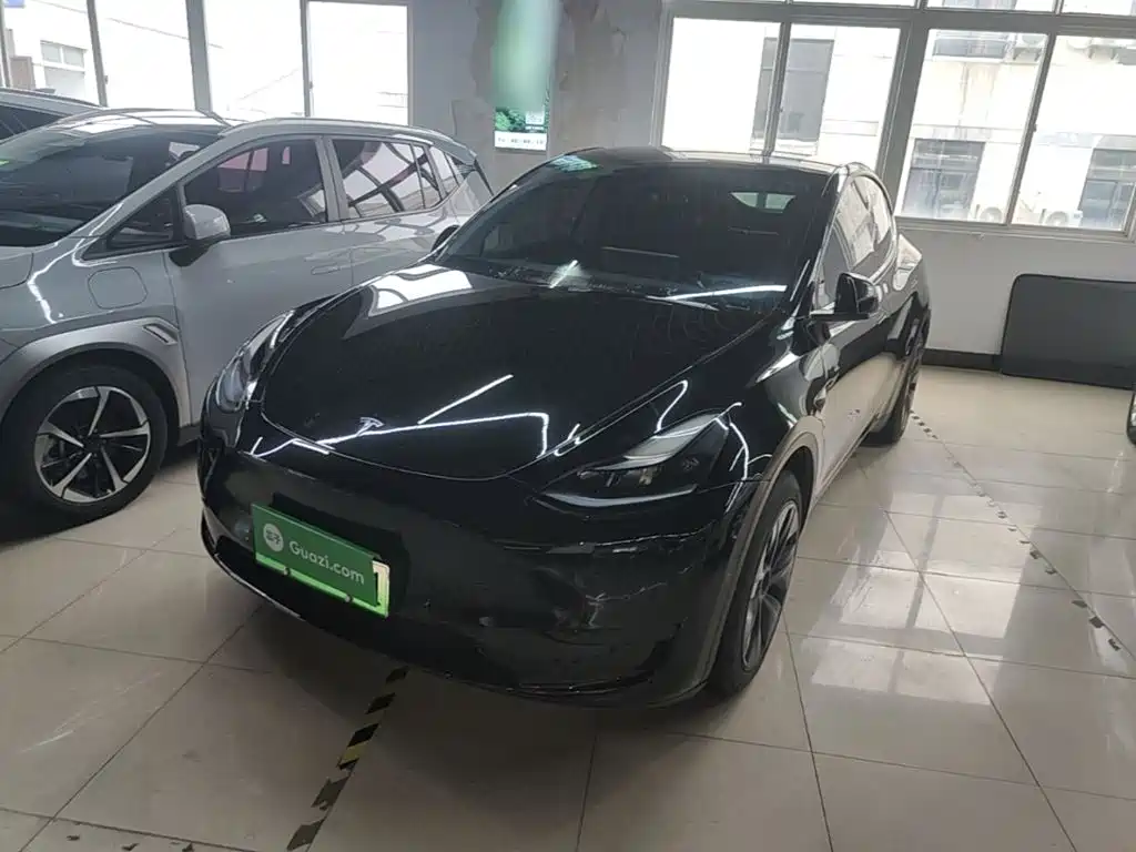 Tesla Model Y — миниатюра 2