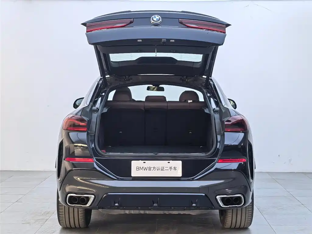 BMW X6 — миниатюра 6