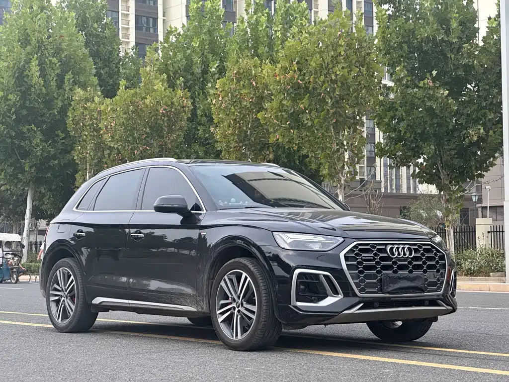 Audi Q5L — миниатюра 3