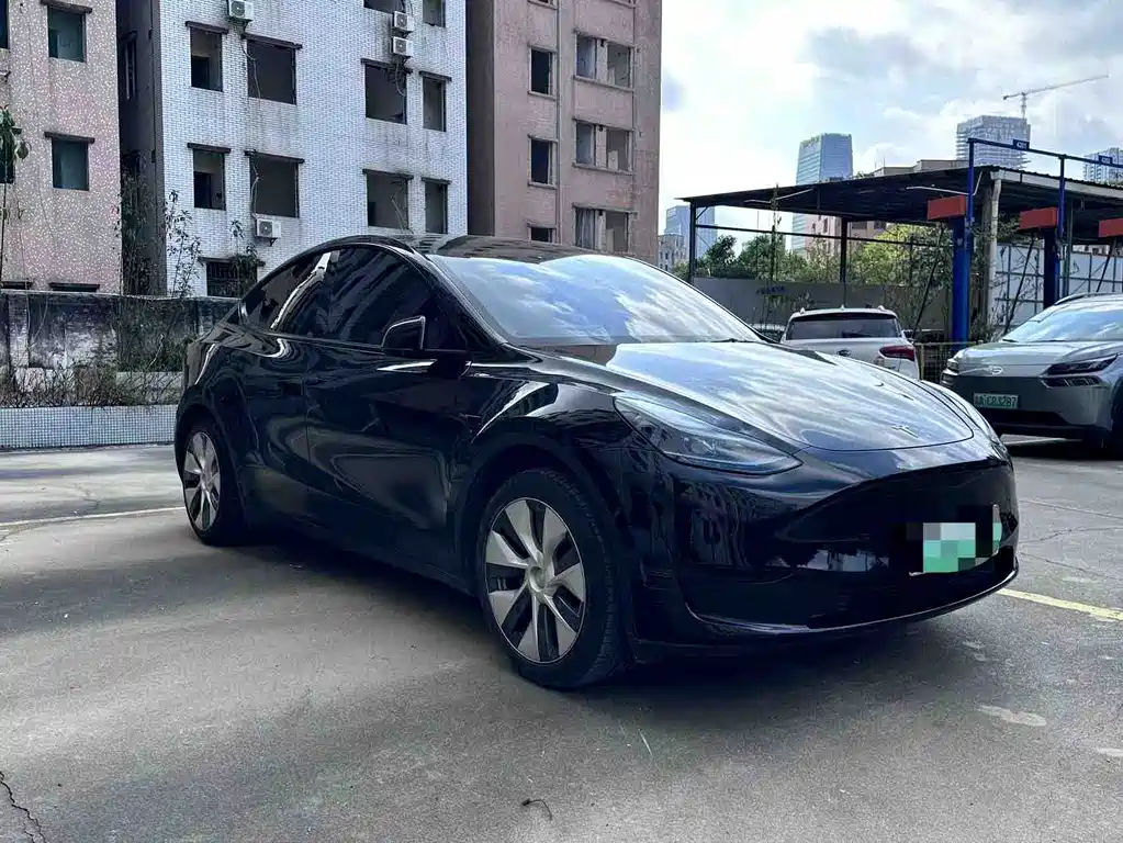 Tesla Model Y — миниатюра 2