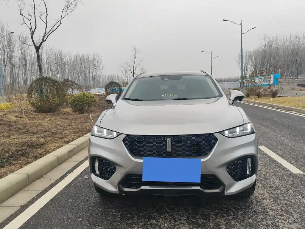 WEI PAI WEI BRAND VV7