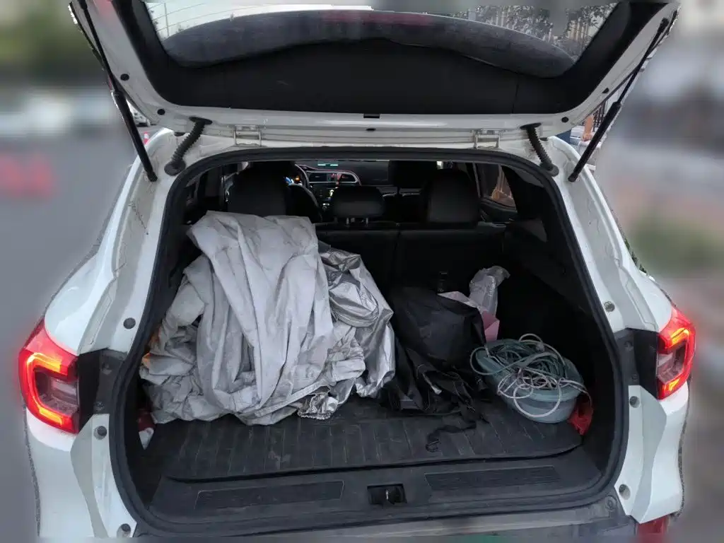 Renault Kadjar — миниатюра 20