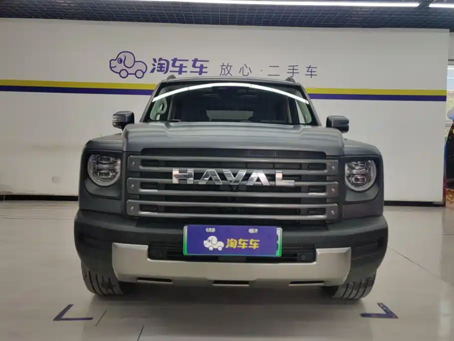 Haval Menglong New Energy — миниатюра 2