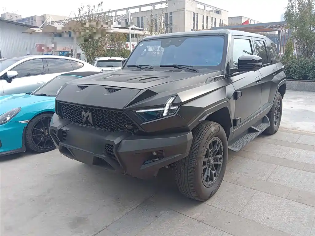 Mengshi Mengshi 917 2024