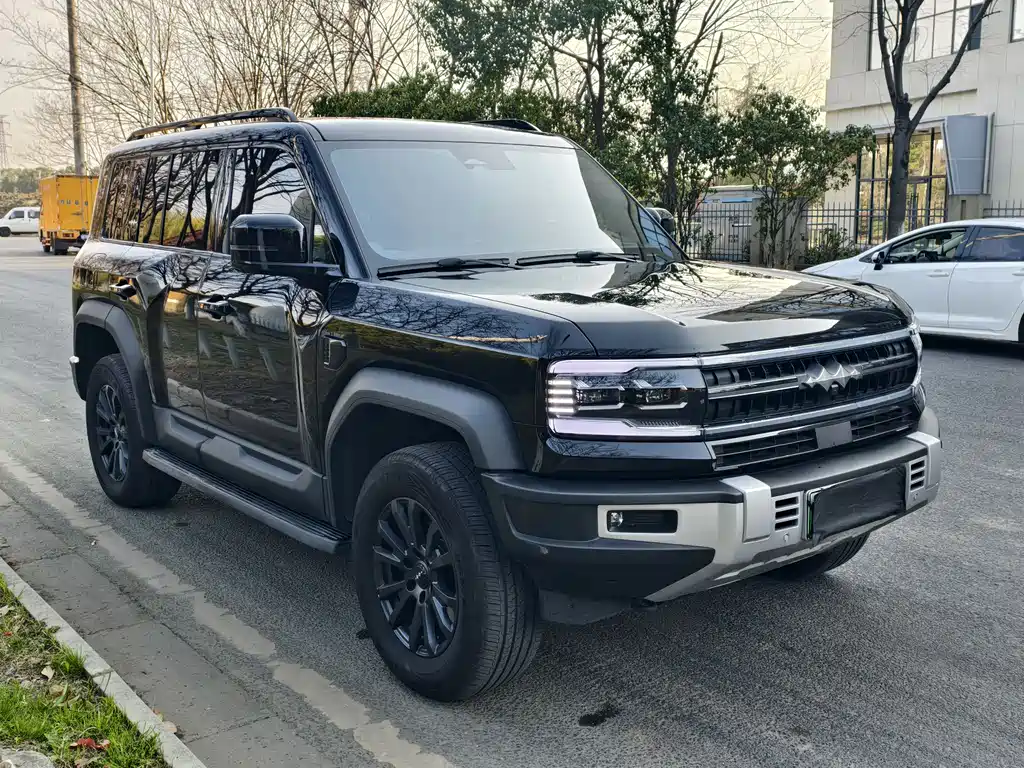 FANG CHENG BAO LEOPARD 5