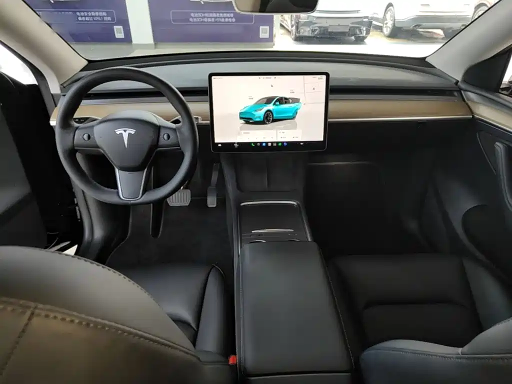 Tesla Model Y — миниатюра 10
