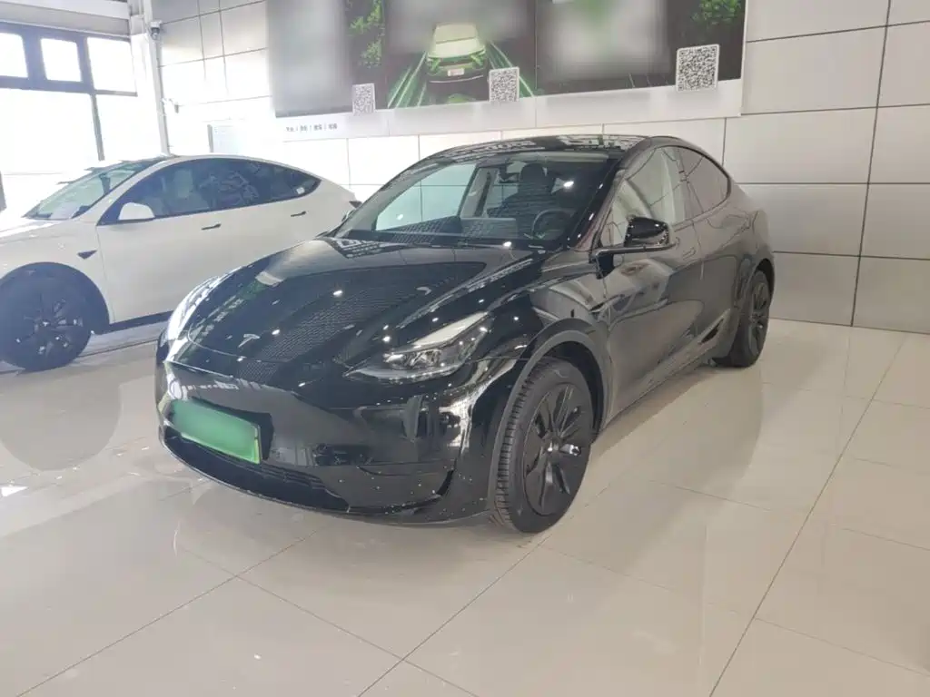 Tesla Model Y — миниатюра 2