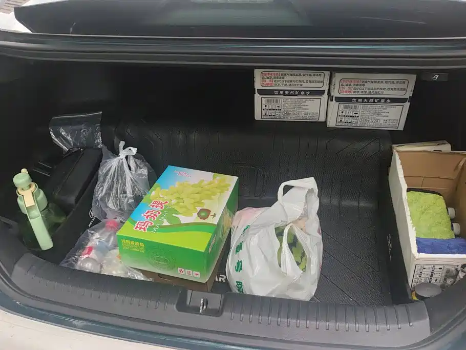 Honda Accord New Energy — миниатюра 4