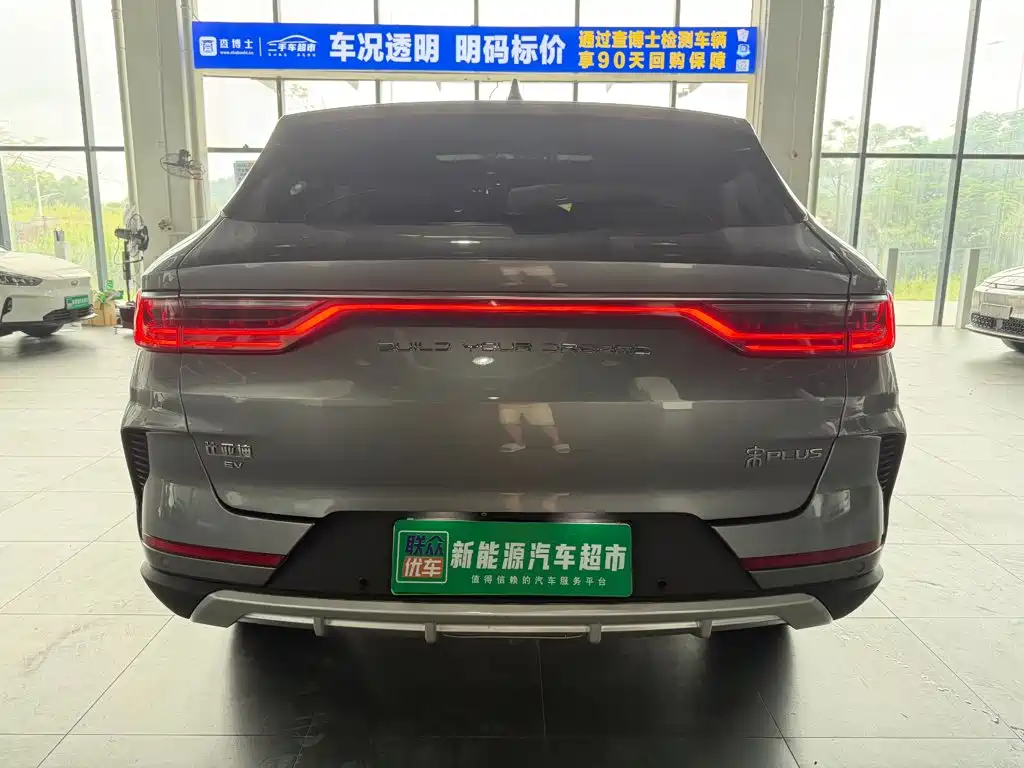 BYD PLUS New Energy — миниатюра 6