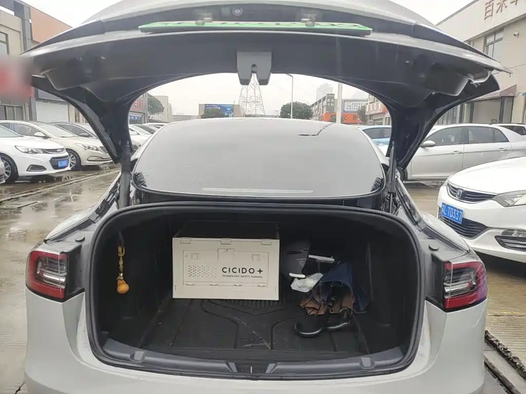 Tesla Model 3 — миниатюра 19