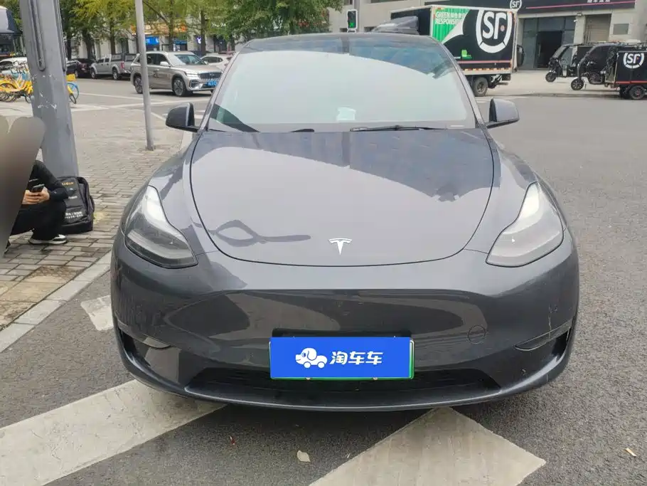 Tesla Model Y — миниатюра 2