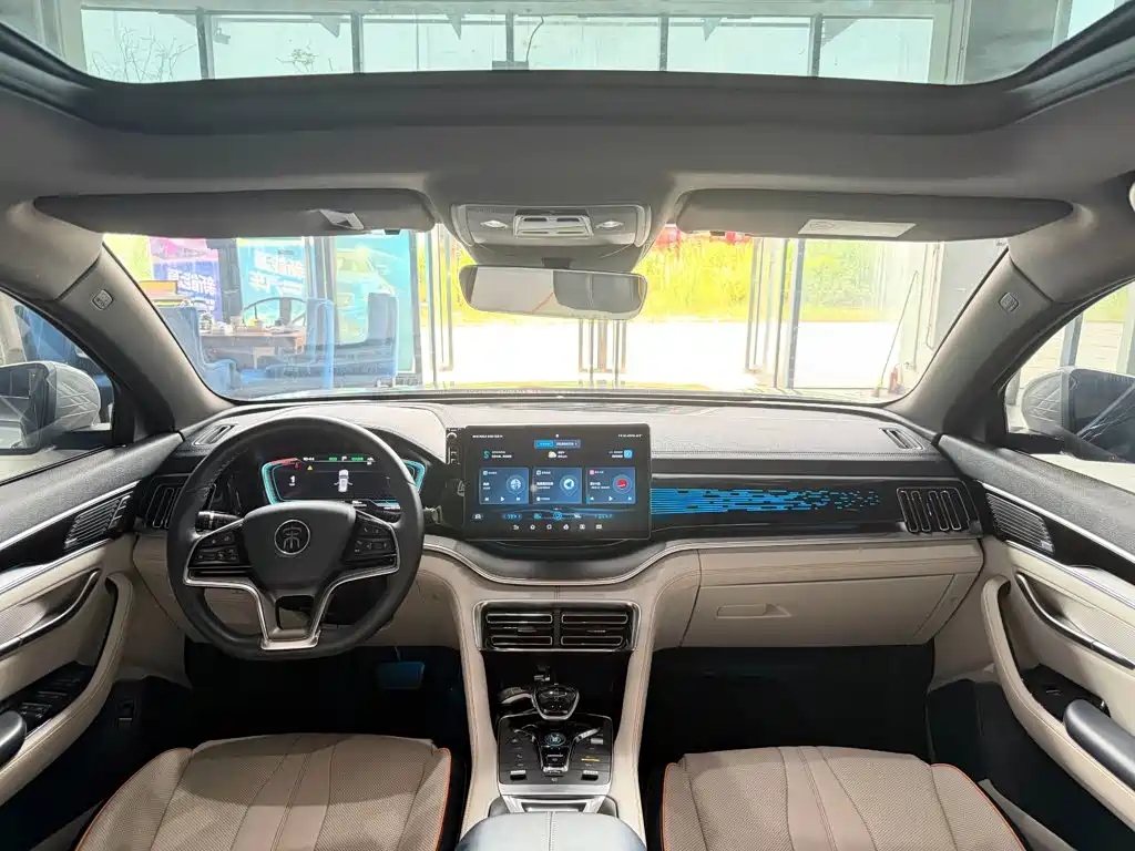 BYD PLUS New Energy — миниатюра 16