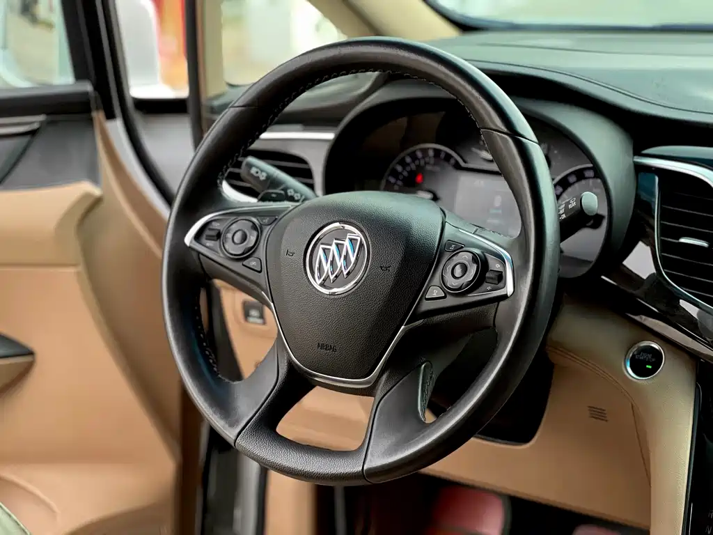 Buick GL8 — миниатюра 10