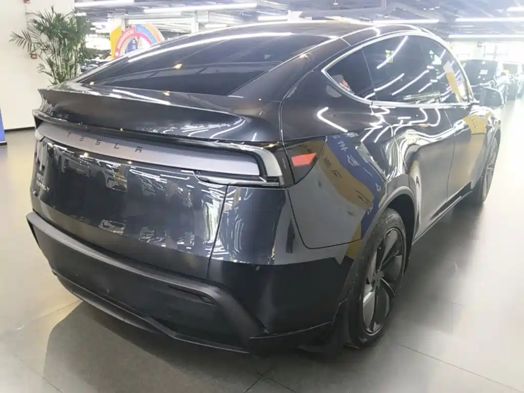 Tesla Model Y — миниатюра 7