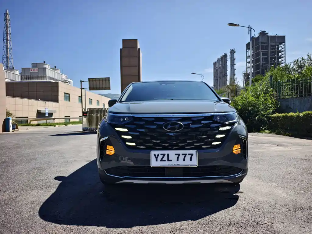Hyundai Custo — миниатюра 2