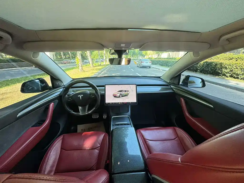 Tesla Model Y — миниатюра 5