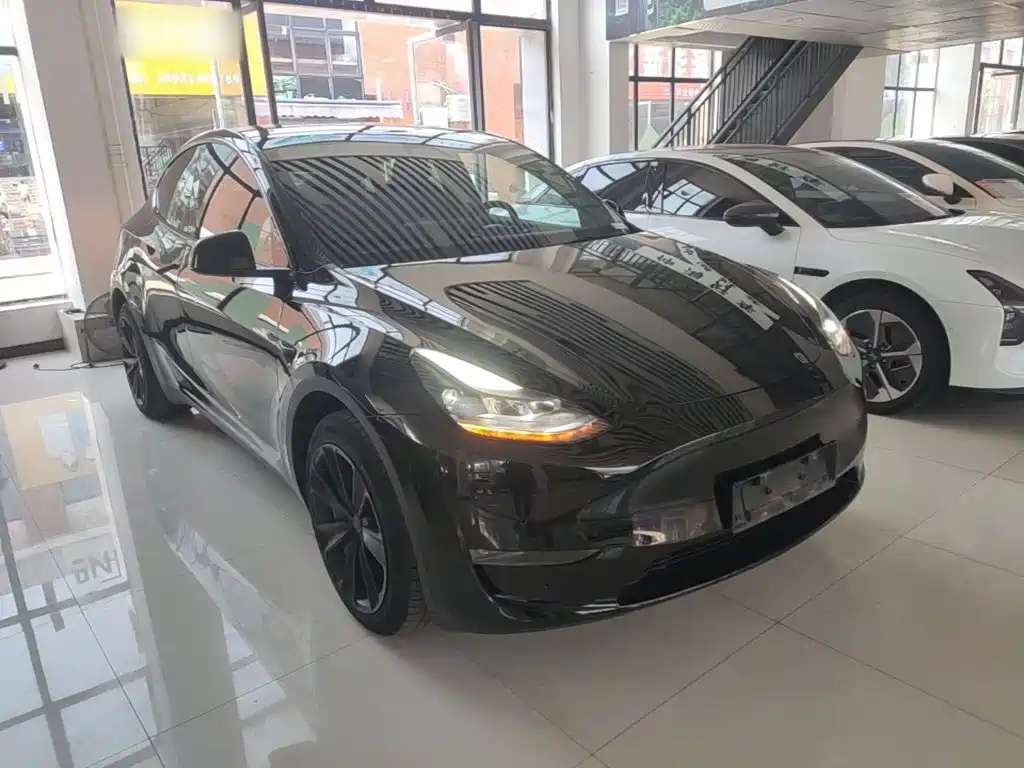 Tesla Model Y — миниатюра 4