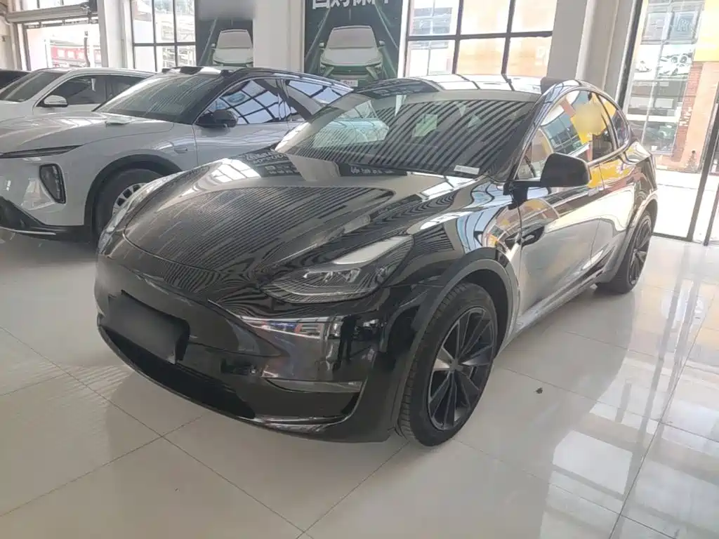 Tesla Model Y — миниатюра 2