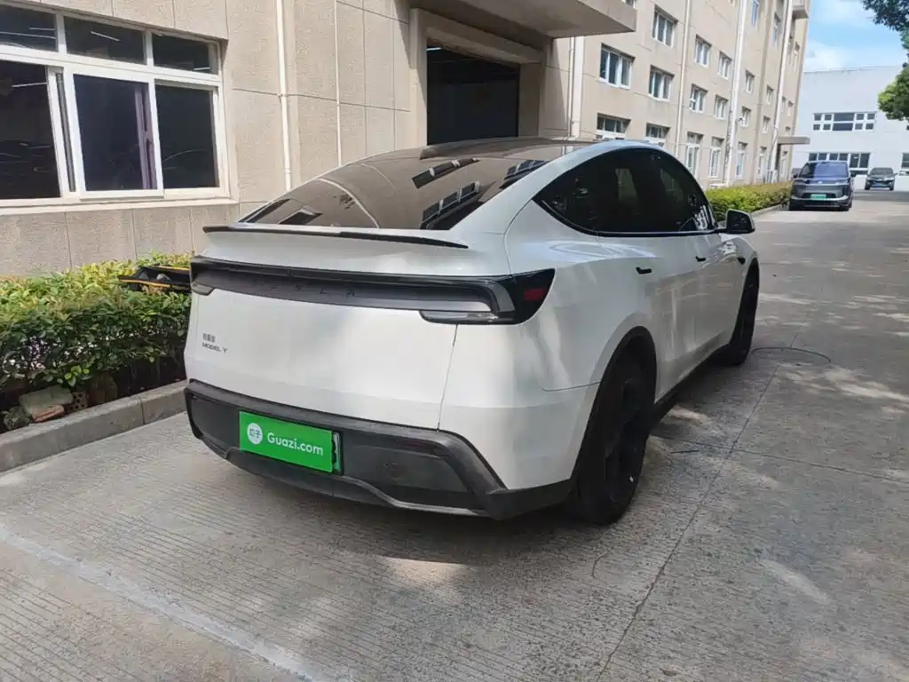 Tesla Model Y — миниатюра 7