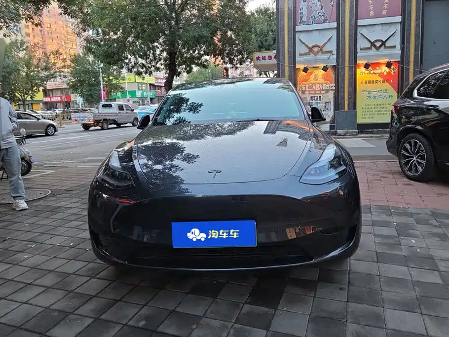 Tesla Model Y — миниатюра 2