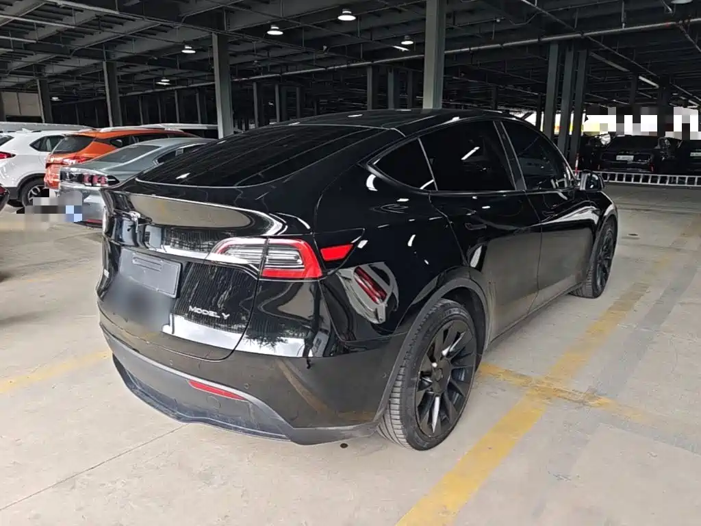 Tesla Model Y — миниатюра 7