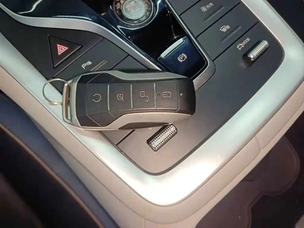 BYD Pro — миниатюра 9