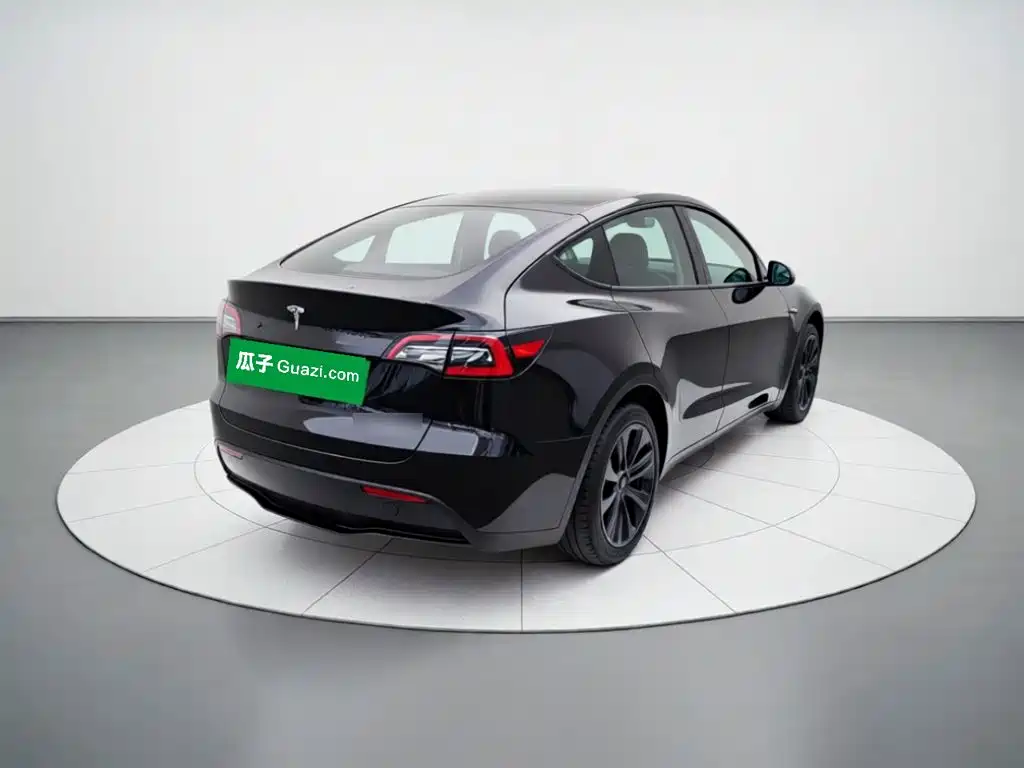 Tesla Model Y — миниатюра 6