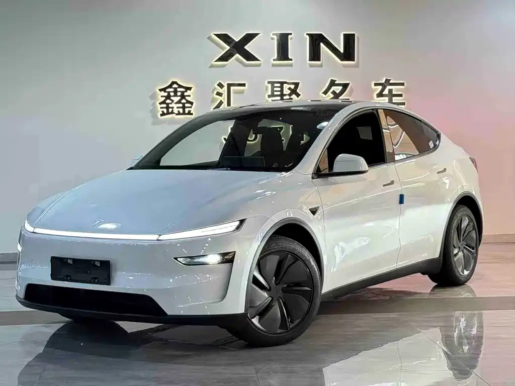 Tesla Model Y — миниатюра 2