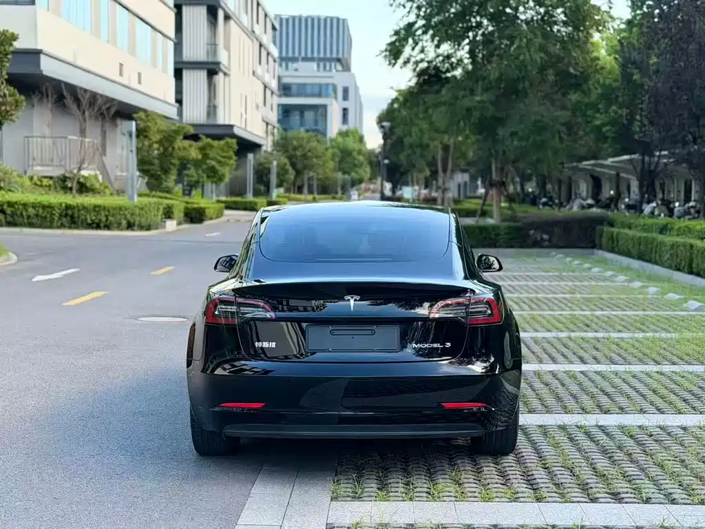 Tesla Model 3 — миниатюра 5