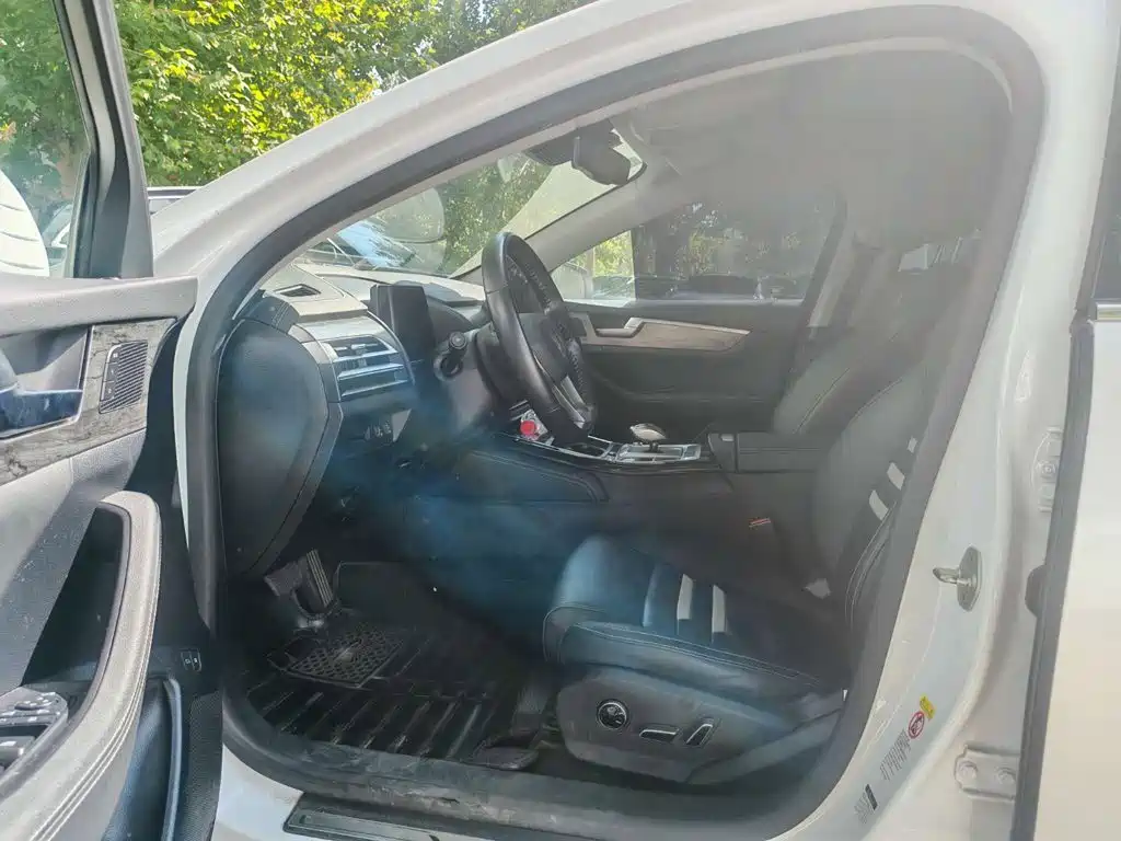 BYD Qin Pro NEV — миниатюра 6